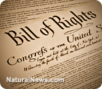 Bill-of-Rights