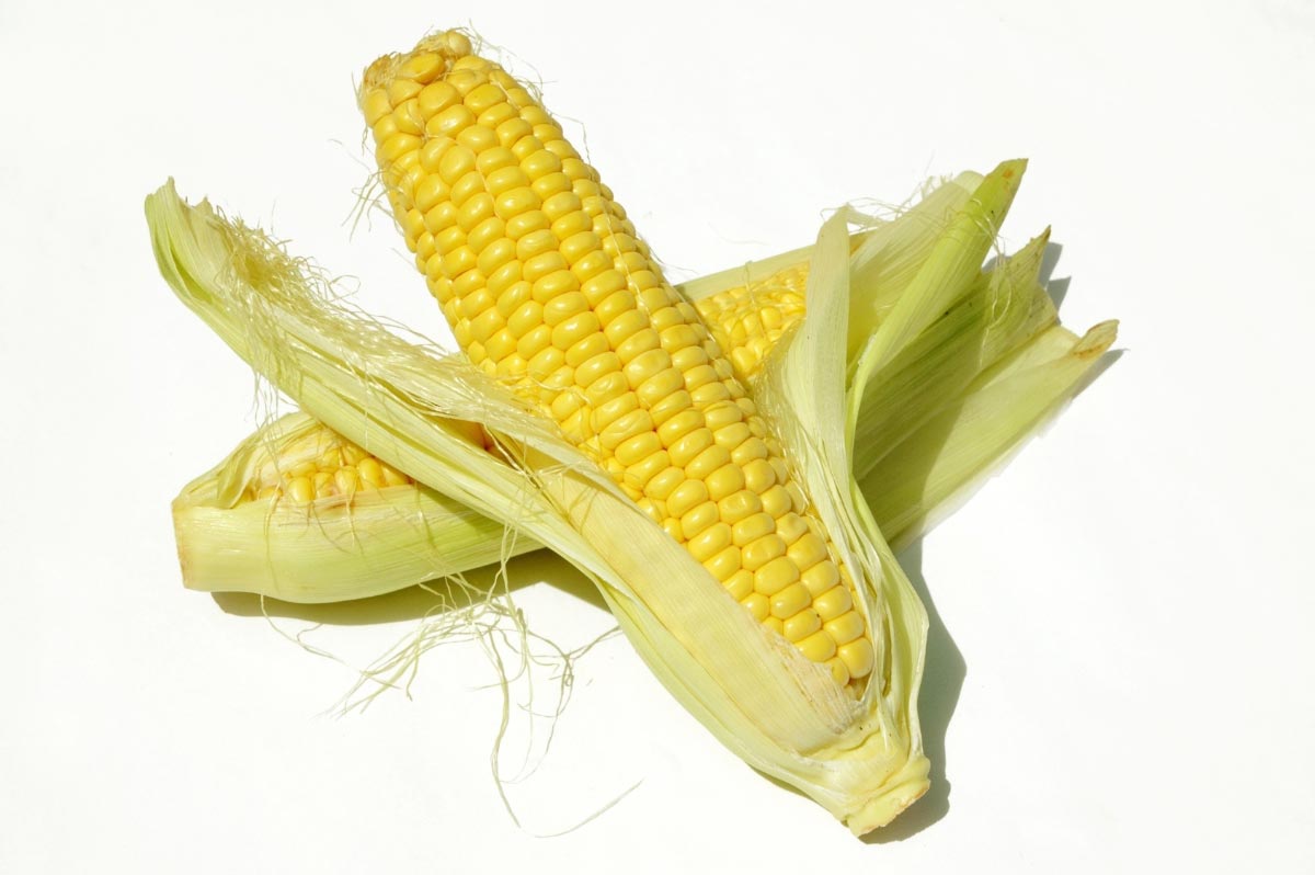 Isolated-Corn-Vegetable-Husk
