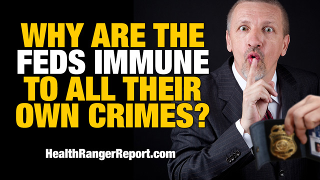 Why-Are-The-Feds-Immune-to-All-Their-Own-Crimes