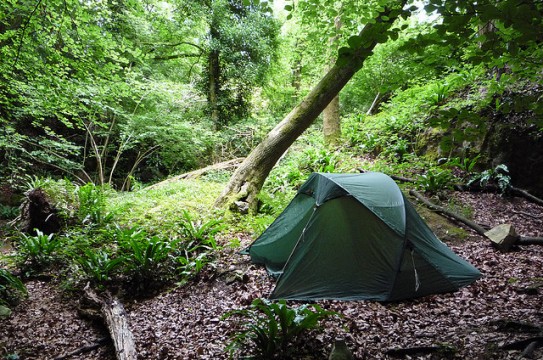camping_survival